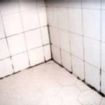 Grout Mildew on Tile