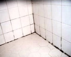 How to remove mold / mildew from shower tile grout? (bleach didn't